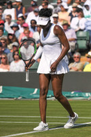 Venus Williams photo #