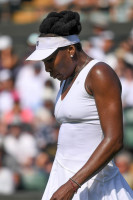 Venus Williams photo #