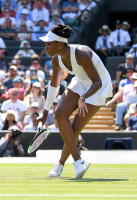 Venus Williams photo #