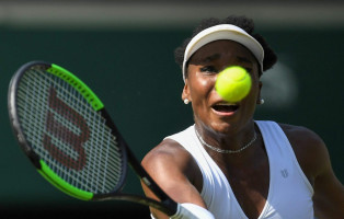 Venus Williams pic #1049722