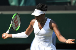 Venus Williams photo #