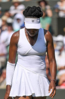 Venus Williams photo #