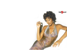 photo 16 in Whitney Houston gallery [id597710] 2013-04-25