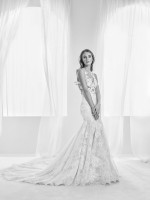 photo 26 in Stiekema gallery [id950245] 2017-07-17