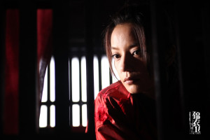 photo 13 in Zhao gallery [id353471] 2011-03-07