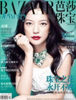 Zhao Wei photo #