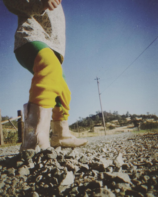 Alison Sudol instagram post 475772