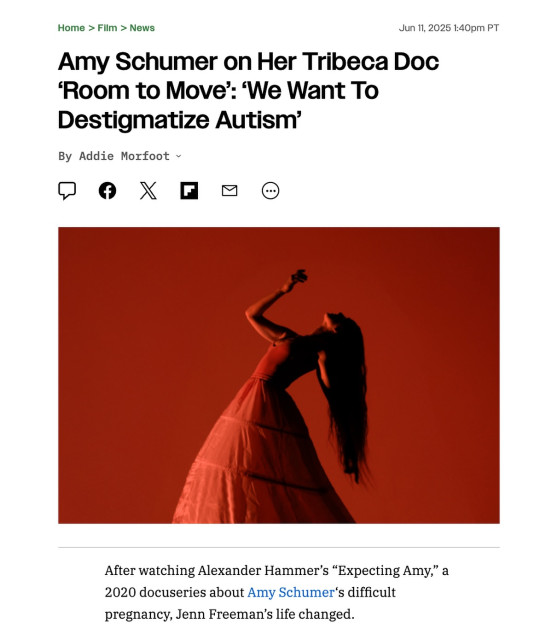 Amy Schumer instagram post 492221