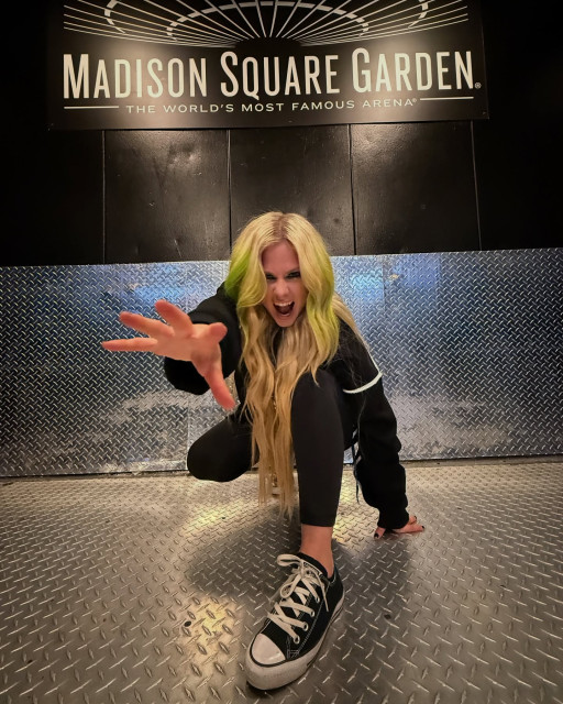 Avril Lavigne instagram post 491567