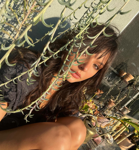 Cassady Mcclincy instagram post 477397