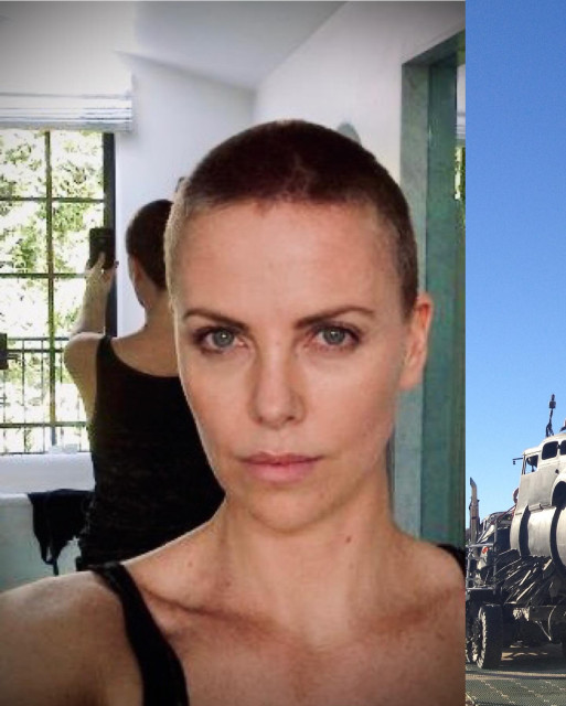 Charlize Theron instagram post 491043