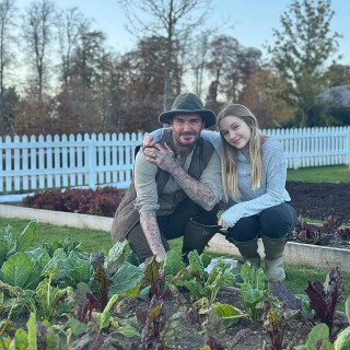 David Beckham instagram pic #453722