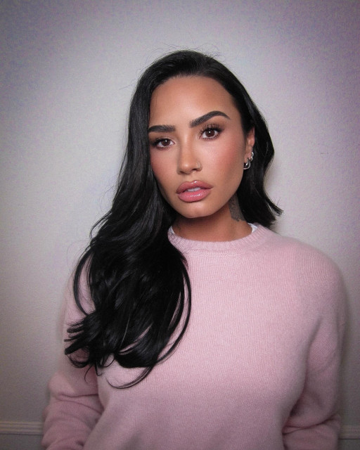 Demi Lovato instagram post 487069