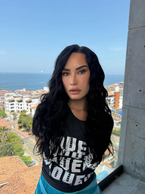 Demi Lovato instagram post 489861