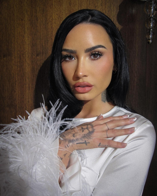 Demi Lovato instagram post 491637