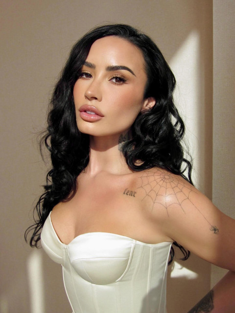 Demi Lovato instagram post 491782