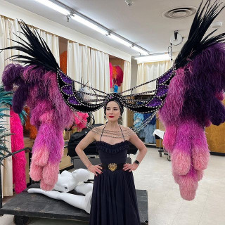 Dita Von Teese instagram pic #447840