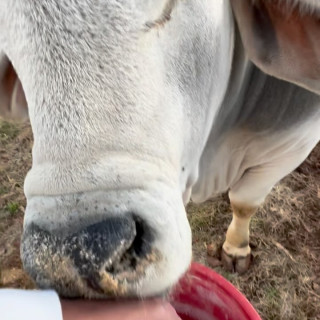 Dwayne Johnson instagram pic #441481
