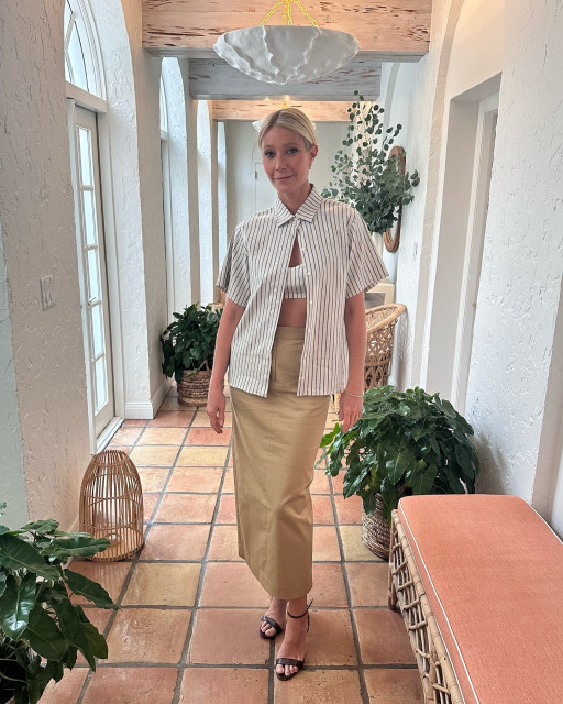 Gwyneth Paltrow instagram post 491301