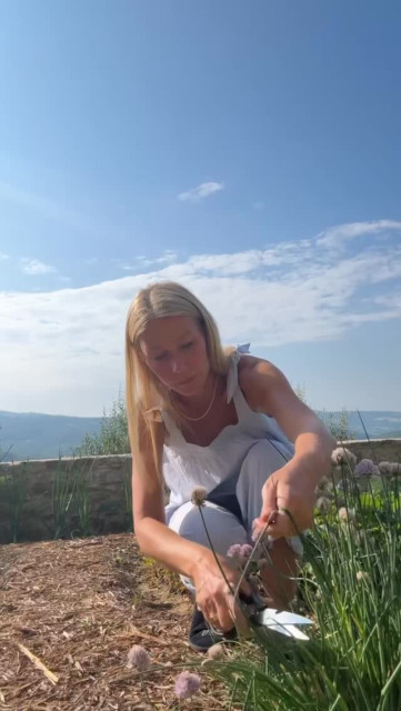 Gwyneth Paltrow instagram post 492666