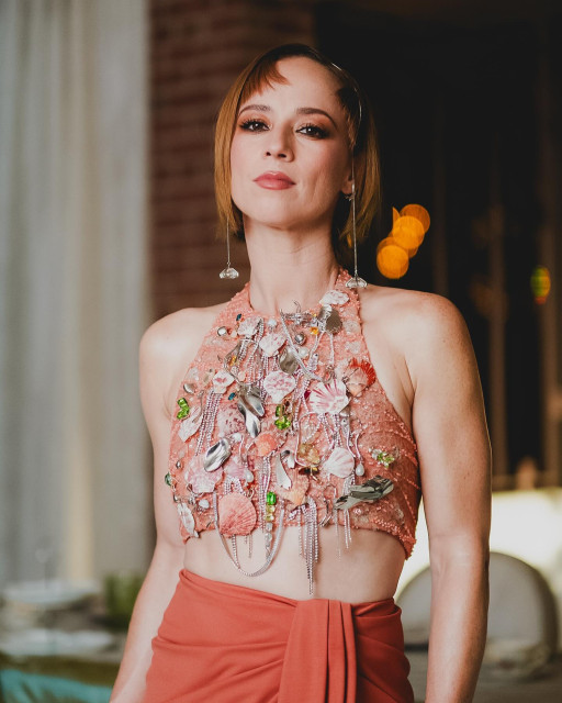 Karine Vanasse instagram post 478171