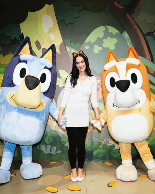 Katy Perry instagram post 492535