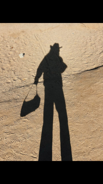 Lindsay Rienstra instagram post 484427