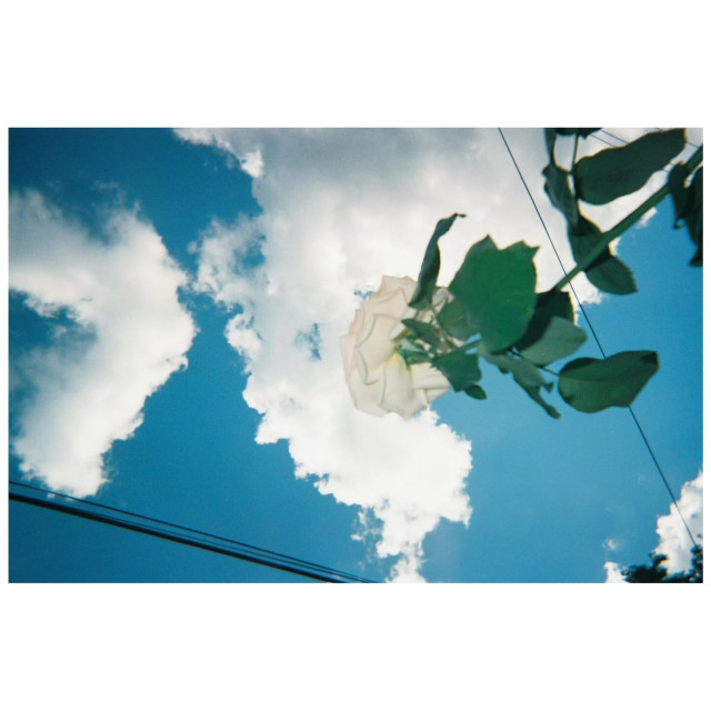 Maddie Hasson instagram post 492835