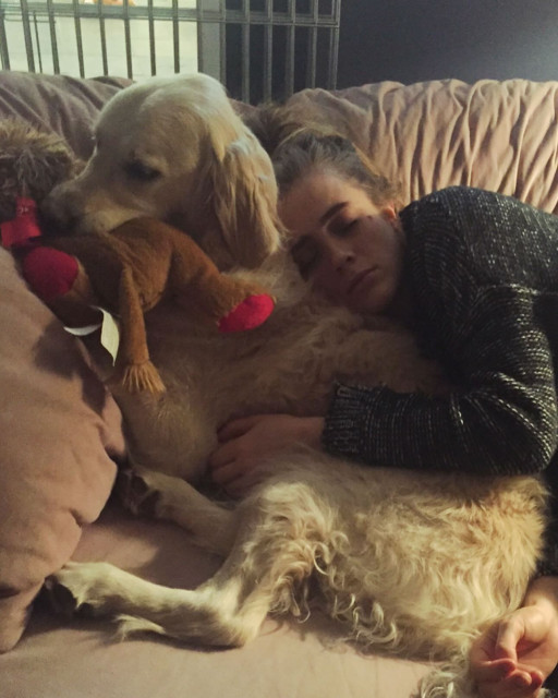 Melissa Roxburgh instagram post 483016