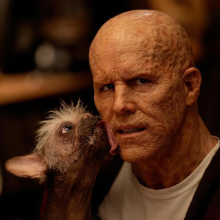 Ryan Reynolds instagram pic #455313