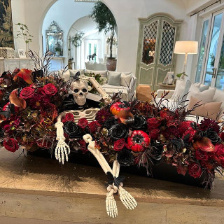 Sofia Vergara instagram pic #452520