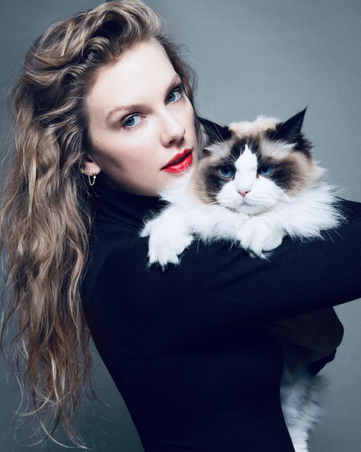 Taylor Swift instagram post 475728