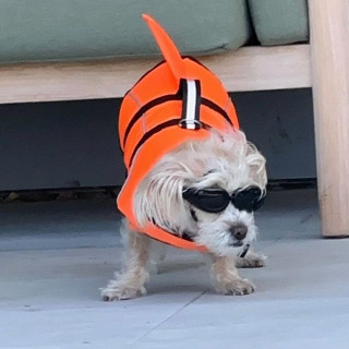 Vanessa Hudgens instagram pic #454315