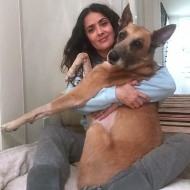 Salma Hayek Says Goodbye To Her Dog Blue