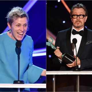 Gary Oldman and Francis McDormand won the Actor Guild of the USA