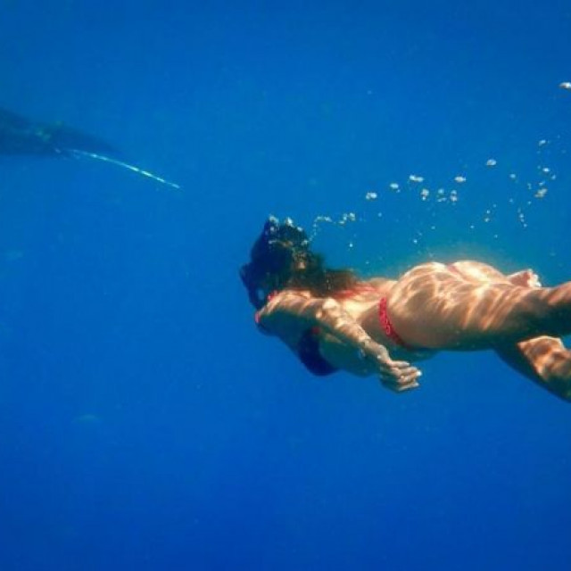 Alessandra Ambrosio in a bikini swam with dolphins