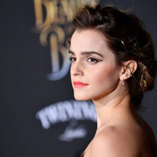 Emma Watson gave up her film career for a boyfriend