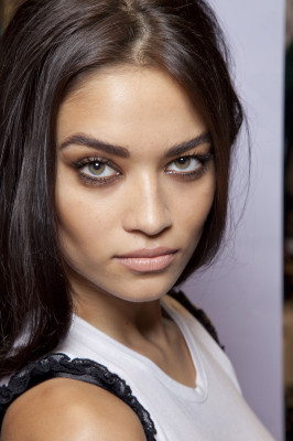 Shanina Shaik pic #454827