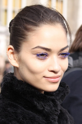 Shanina Shaik pic #514375