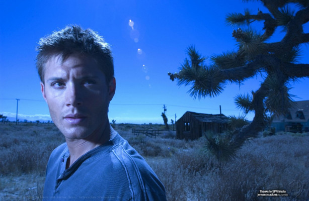 photo 9 in Jensen Ackles gallery [id98655] 2008-06-19 00:00:00