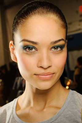 Shanina Shaik pic #449021