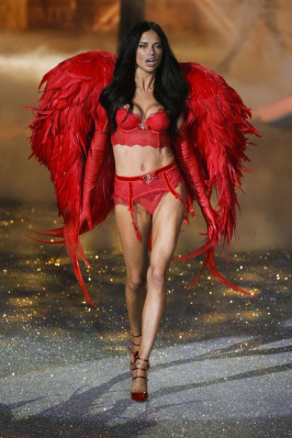 photo 28 in Adriana Lima gallery [id750460] 2014-12-26 00:00:00