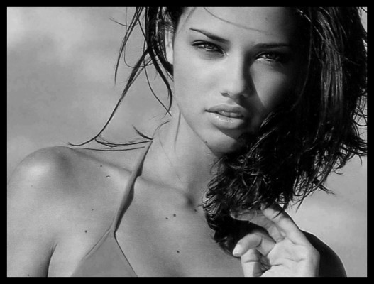 photo 11 in Lima gallery [id63362] -0001-11-30 00:00:00