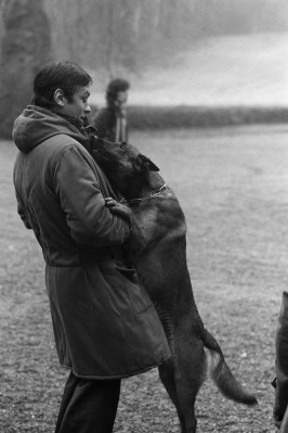 Alain Delon pic #351021