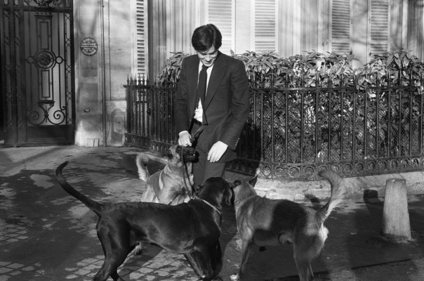 photo 5 in Alain Delon gallery [id352035] 2011-03-07 00:00:00