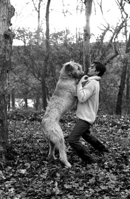 Alain Delon pic #471789