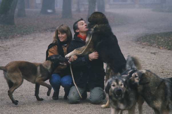photo 8 in Alain Delon gallery [id478792] 2012-04-23 00:00:00