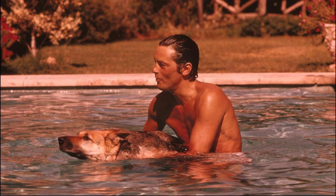 photo 19 in Alain Delon gallery [id384177] 2011-06-07 00:00:00