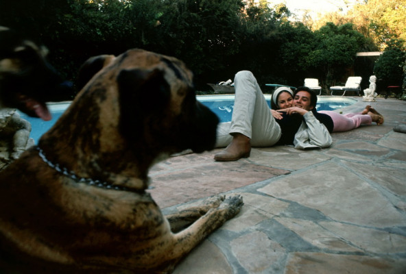 Alain Delon pic #272759