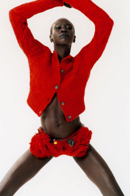photo 8 in Alek Wek gallery [id1317061] 2022-12-10 00:00:00
